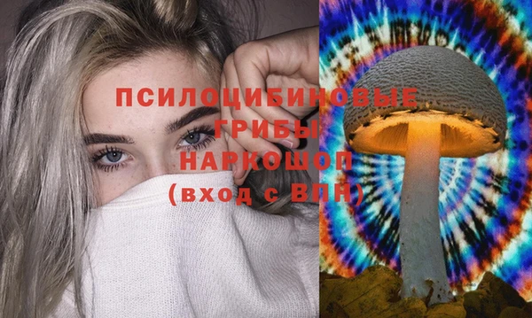 круглые Армянск